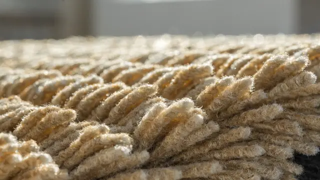 deep cleaned wool carpet fibers texture closeup